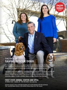 Face of Saving Rescue Dogs
