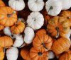 CRMA Newsletter – October 2026