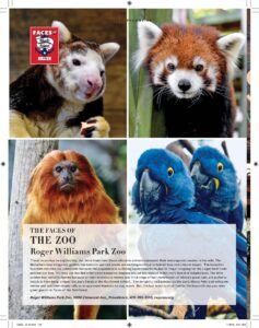 Face of the Zoo